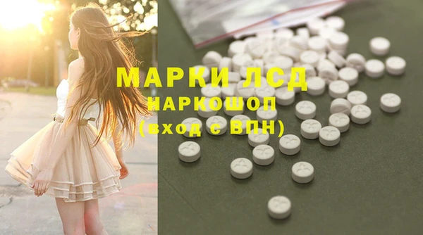 индика Беломорск