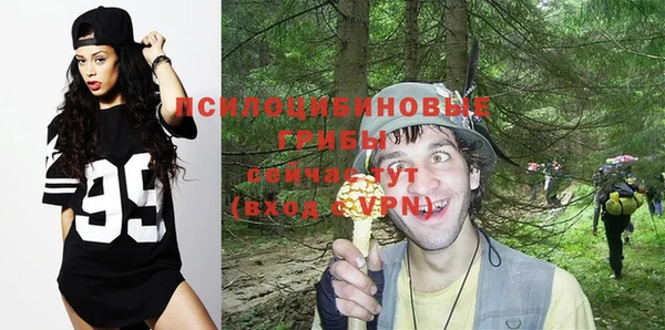 индика Беломорск