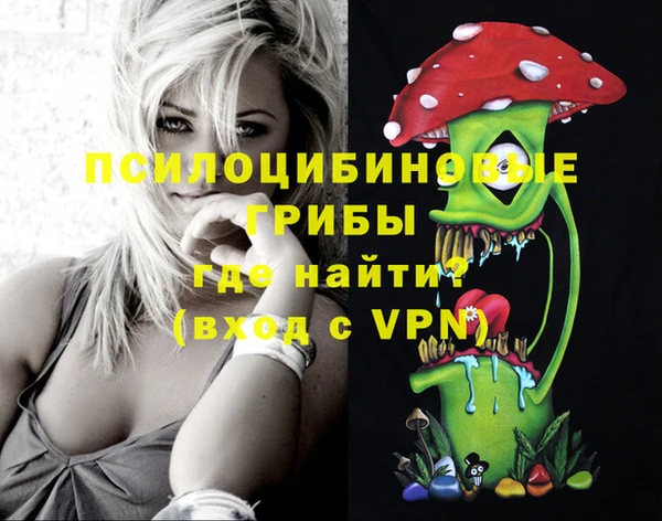 индика Беломорск