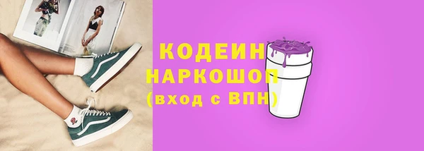 индика Беломорск