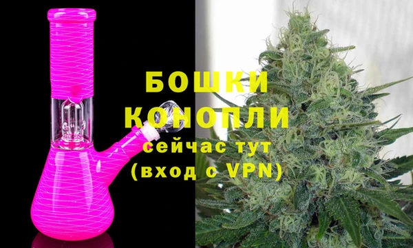 индика Беломорск