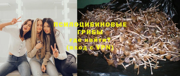МДМА Богородицк