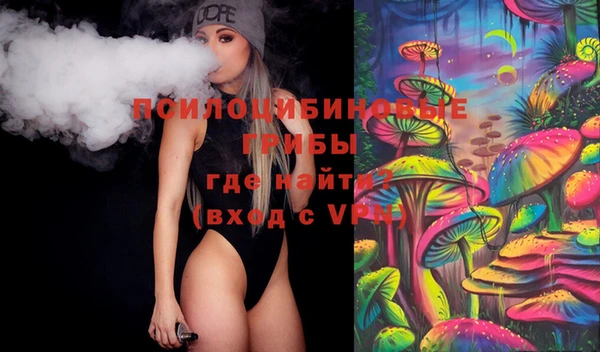 индика Беломорск