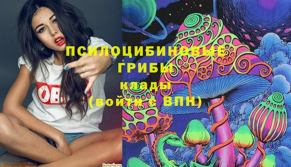 spice Белокуриха