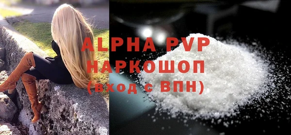 индика Беломорск