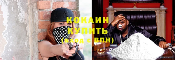 индика Беломорск